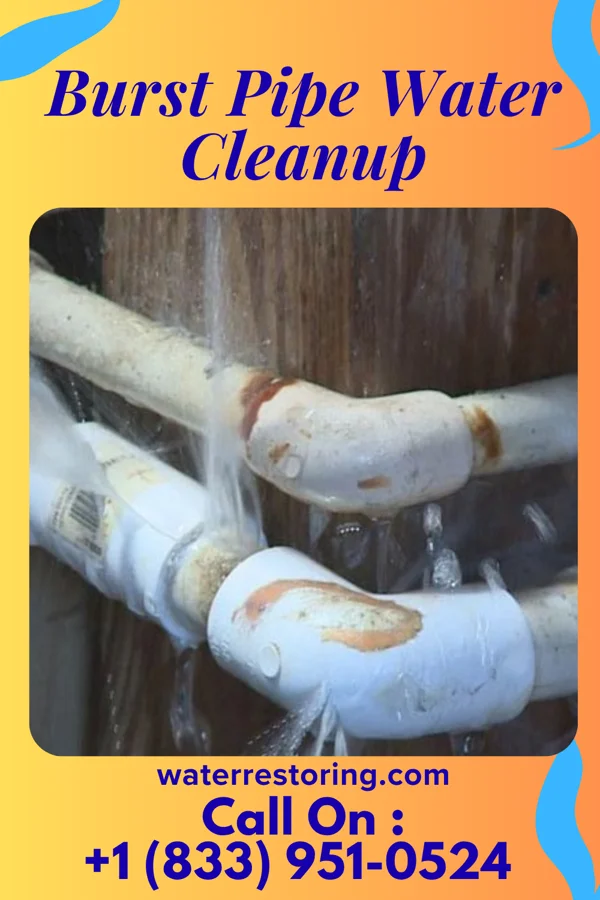 Burst Pipe Water Cleanup in Wrightsville, AR